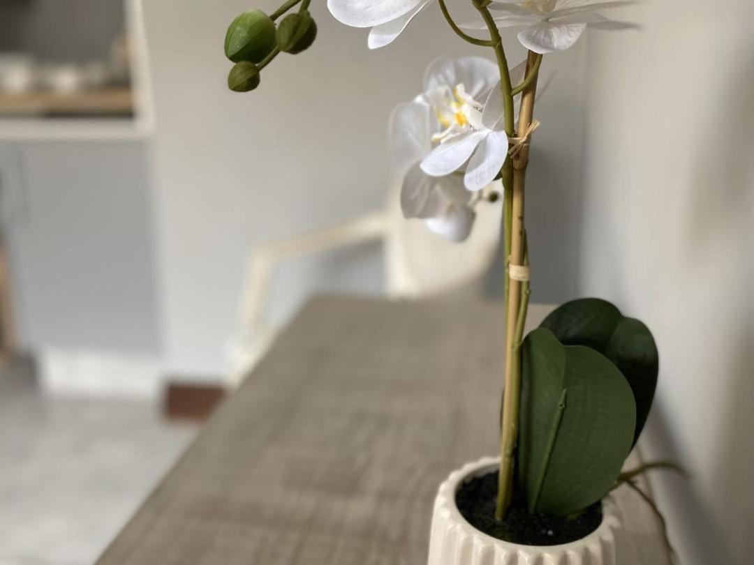 Staysure Guesthouse Албертън Екстериор снимка